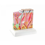 Πρόπλασμα ανθρώπινου δέρματος | Προπλάσματα - Αφίσες στο Paterakis Medical Group