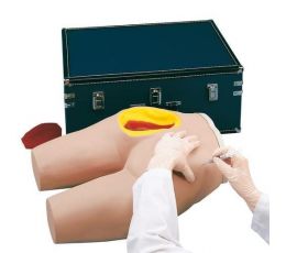 Πρόπλασμα Γλουτού για Ενδομυϊκές Εκχύσεις | Προπλάσματα - Αφίσες στο Paterakis Medical Group