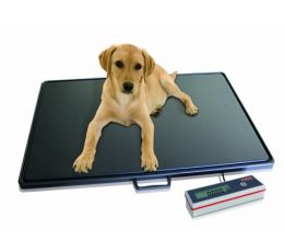 Κτηνιατρική ζυγαριά δαπέδου Soehnle | Επαγγελματικές Ζυγαριές - Βρεφοζυγοί στο Paterakis Medical Group