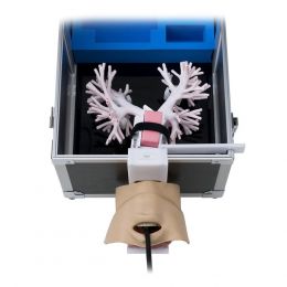 Προσομοιωτής Βρογχοσκόπησης KOKEN | Προπλάσματα - Αφίσες στο Paterakis Medical Group