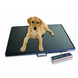 Κτηνιατρική ζυγαριά δαπέδου Soehnle | Επαγγελματικές Ζυγαριές - Βρεφοζυγοί στο Paterakis Medical Group