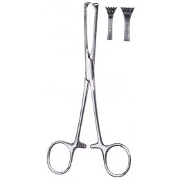 Λαβίδα Allis 15εκ | Χειρουργικά εργαλεία στο Paterakis Medical Group